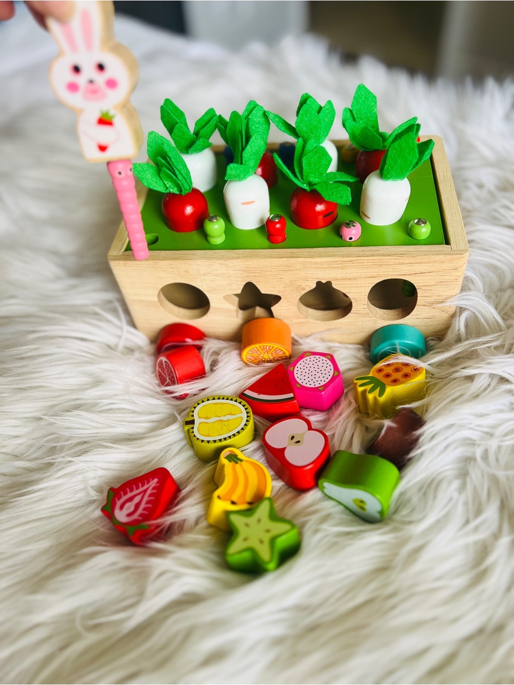 Wooden Fruit & Vegetable Sorting Toy - Multicolor Montessori type kids toy baby
